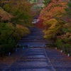 二尊院 紅葉の馬場