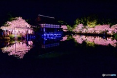 平安神宮神苑 紅しだれコンサート