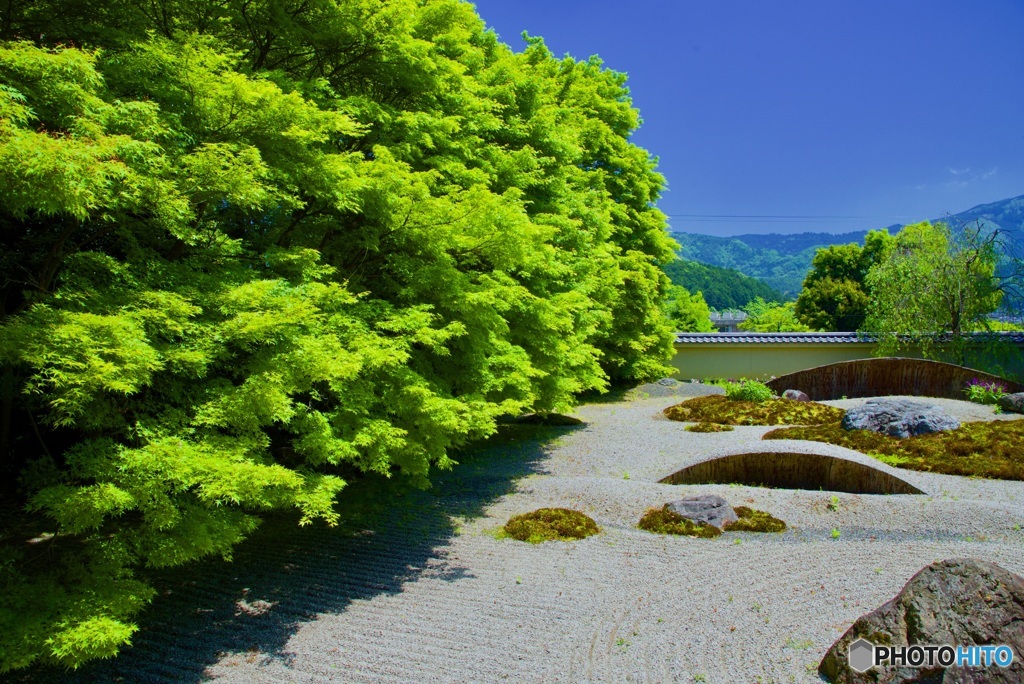 実相院 石庭