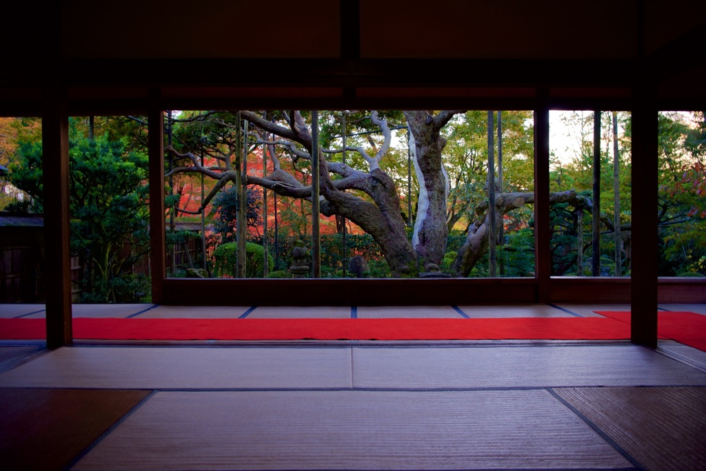 宝泉院 盤桓園