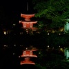大覚寺 ー真紅の水鏡ー