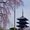 東寺 春景
