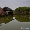 平安神宮 神苑