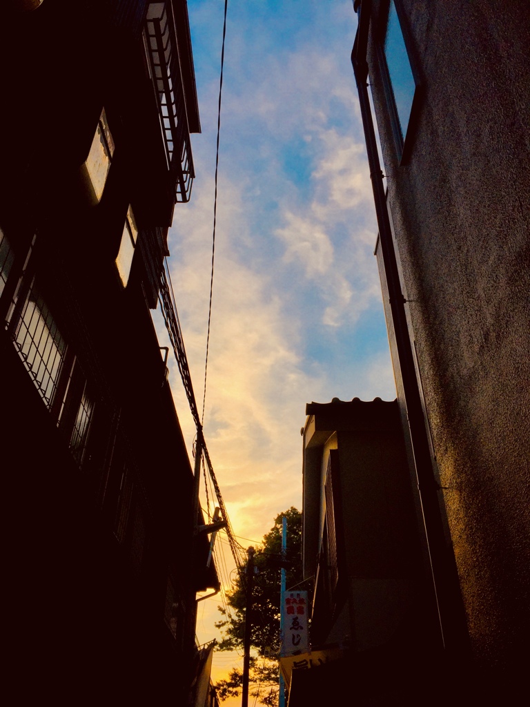 見上げた空