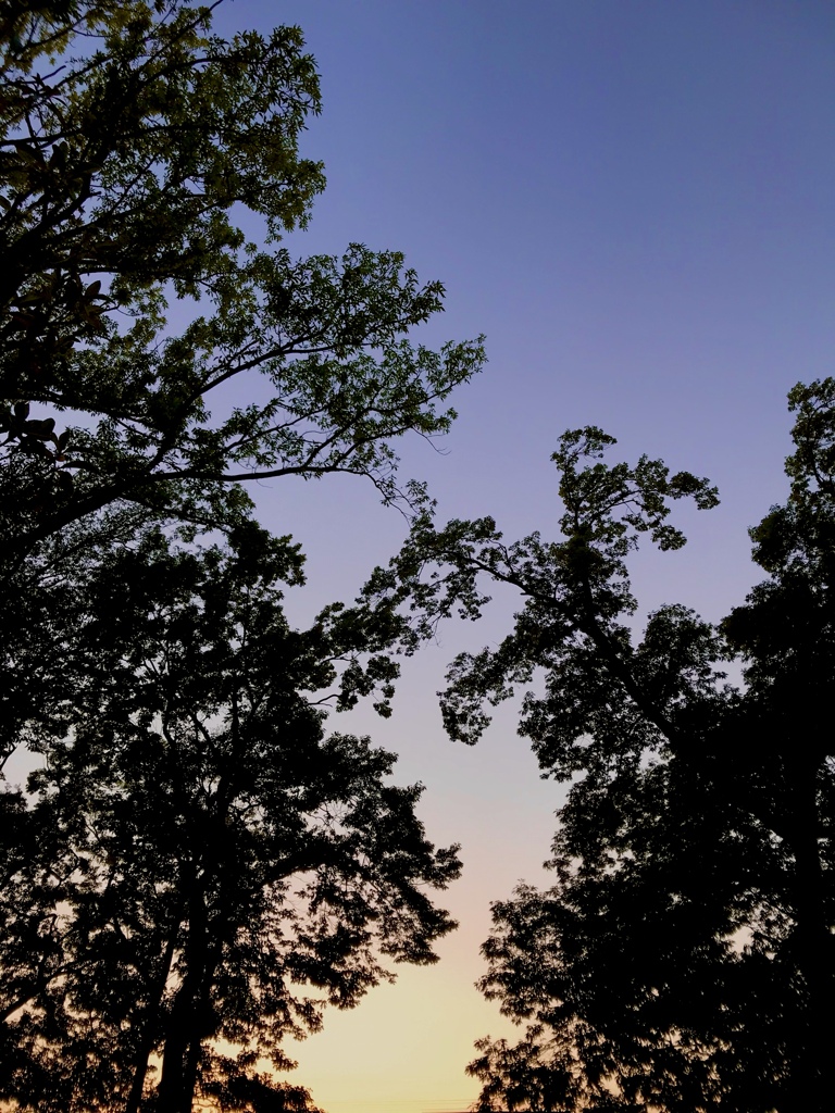 5月　夕暮れ