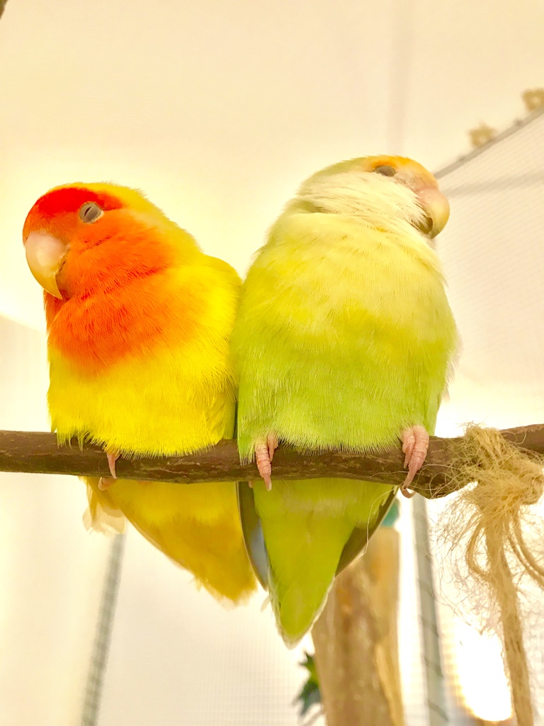 ♡