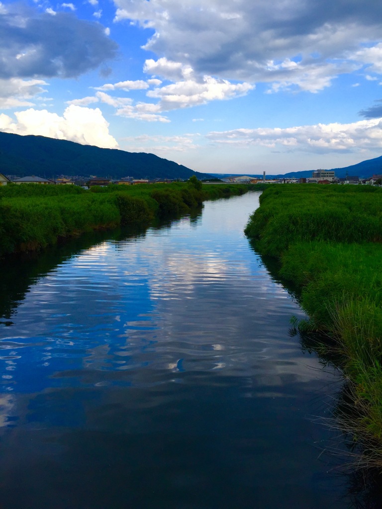 夏の思い出