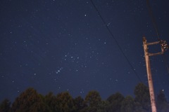 IMG_4491