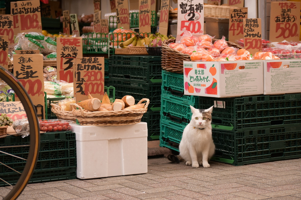 呼込み