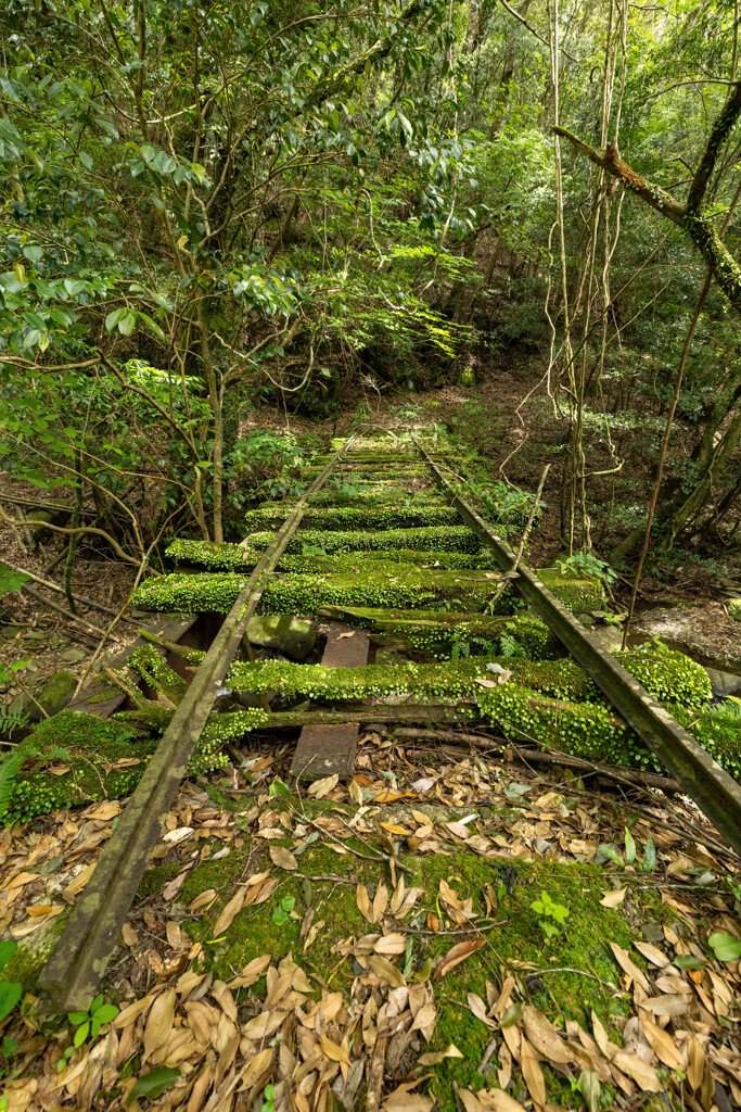 トロッコ線路