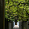 吊り橋