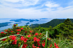 天草旅行　倉岳編④
