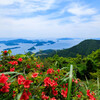 天草旅行　倉岳編④