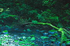 小川