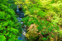 新緑と滝②
