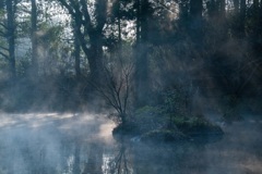 小野の泉水