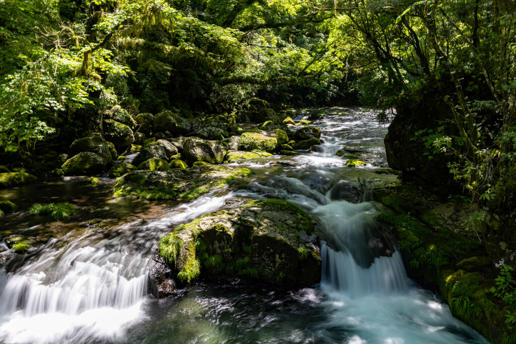 Kikuchi Valley