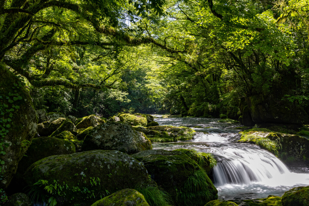 Kikuchi Valley