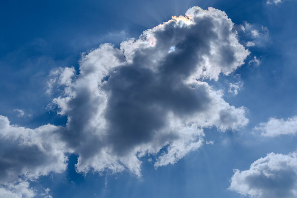 the cloud