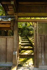 もみじ庵　門