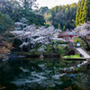 小野の泉水