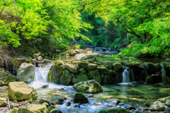 岳間渓谷の春