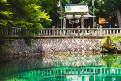 エメラルドグリーン