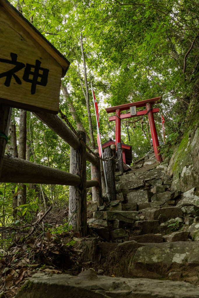 森の神