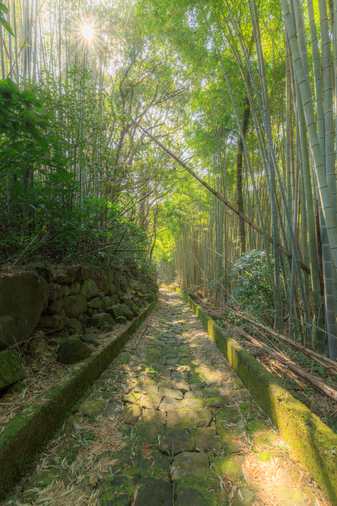 草枕の石畳の道