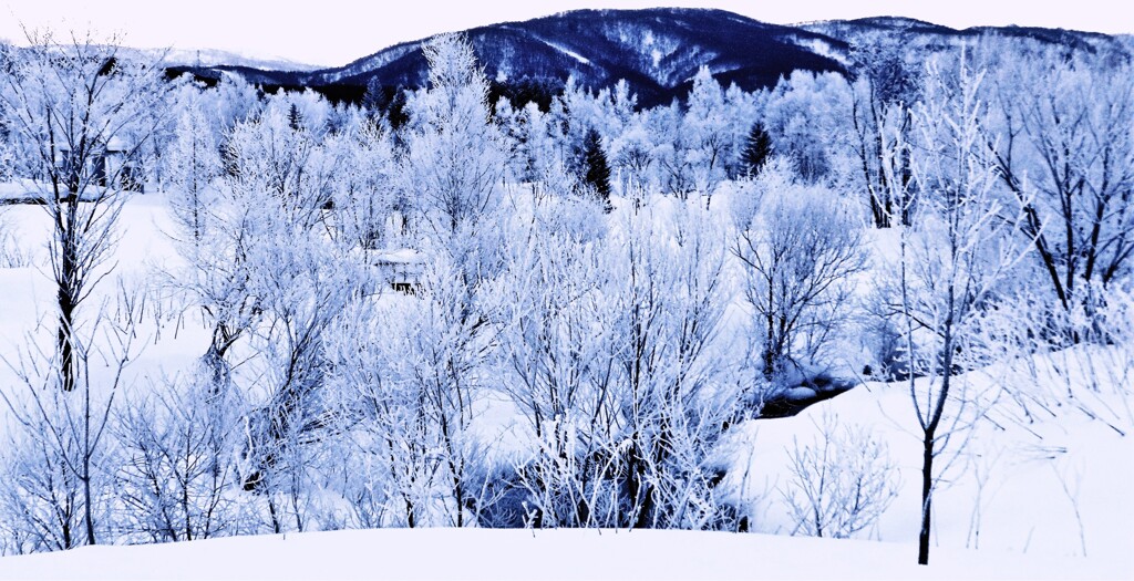 冬景色（蔵出）