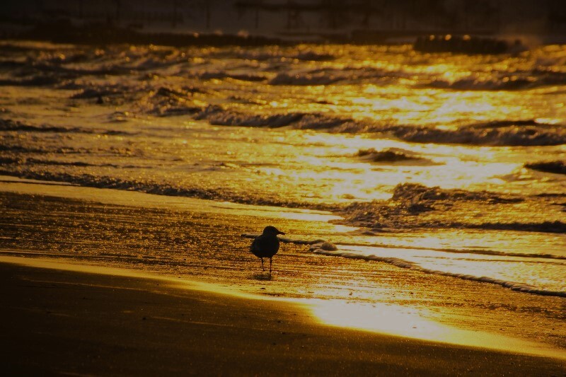 引き潮（蔵出）