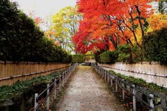 百合が原公園日本庭園