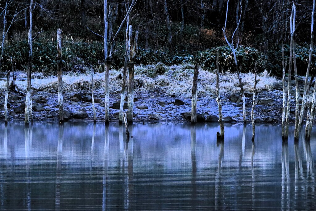 赤井川村落合ダム湖