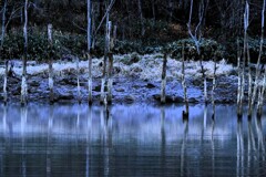 赤井川村落合ダム湖 赤井川村落合ダム湖