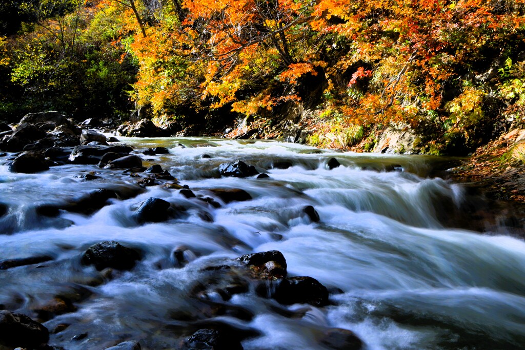 秋、川の流れのように♪