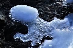 氷の世界Ⅵ(タコ？）