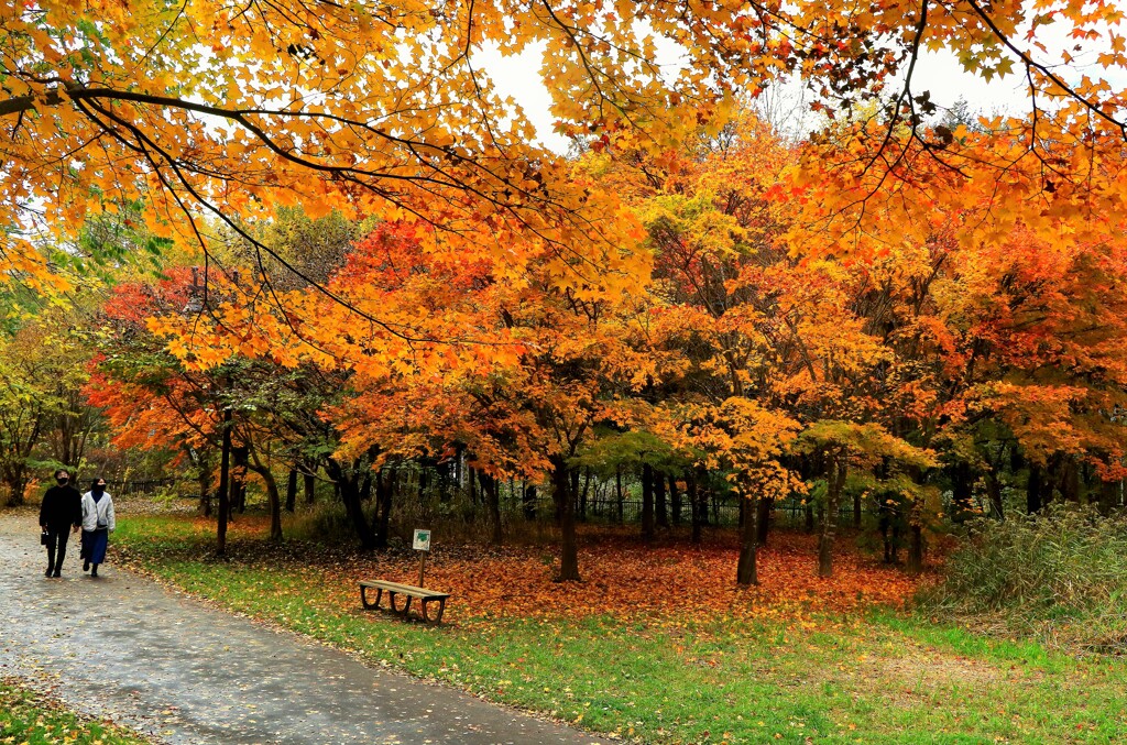 恋人よそばにいて～♪