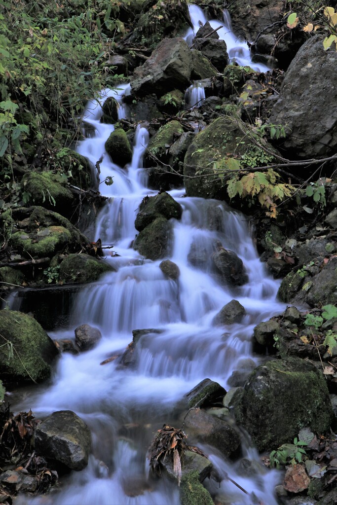 流れに身をまかせ～