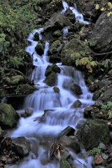 流れに身をまかせ～