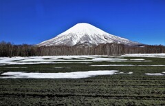 羊蹄山の雪解け