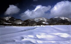 冬景色Ⅲ(蔵出）