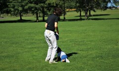 公園でハイハイデビュ－