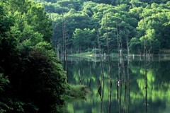 赤井川村落合ダム湖