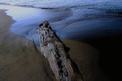 埋もれる  埋もれる