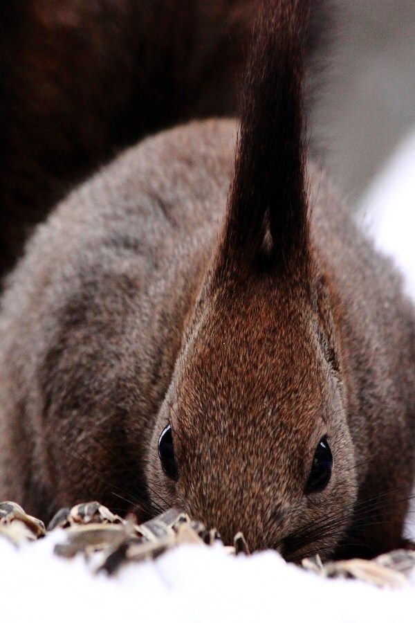探し物（蔵出）