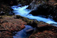 晩秋の定山渓白井川