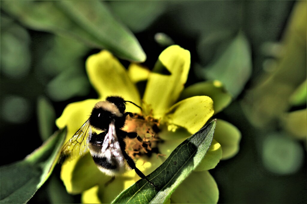 そろそろ蜜も終わり