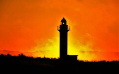 燃える～（蔵出）