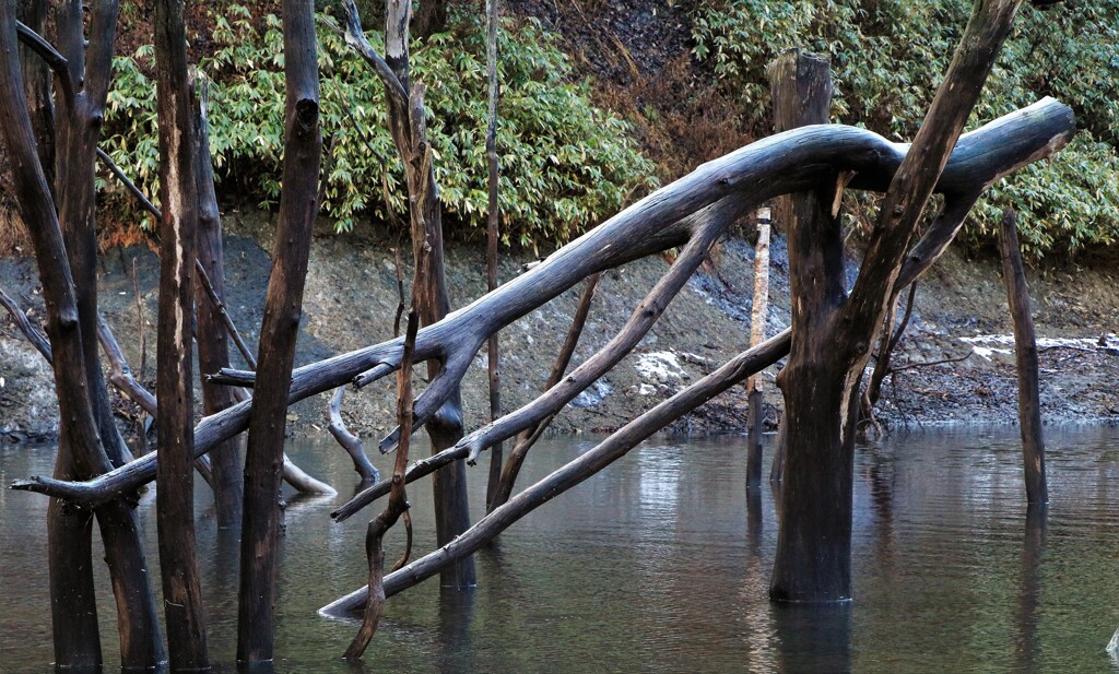 もたれかかる♪
