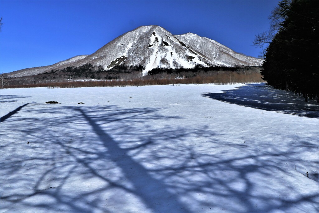木影と尻別岳
